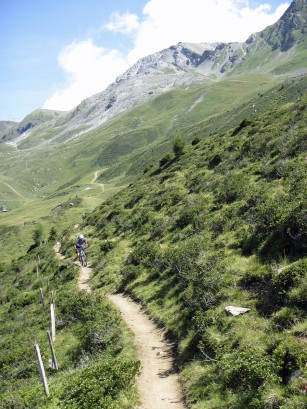TREK Bike Attack.