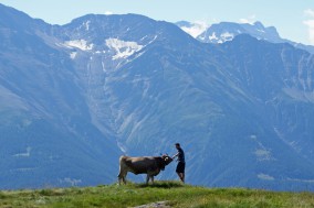 Swiss Ultimate Ride