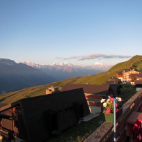 Frühes Erwachen