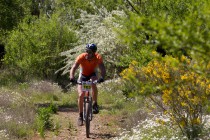 Bikefestival Gran Canaria 2014