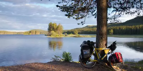 Radsport in Schweden
