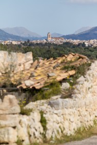 Mallorca und die "bunte Pest”