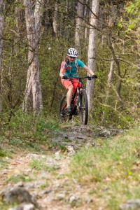 BH Lynx 4.8 29 9.3 Carbon
