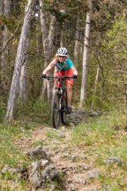 BH Lynx 4.8 29 9.3 Carbon