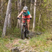 BH Lynx 4.8 29 9.3 Carbon