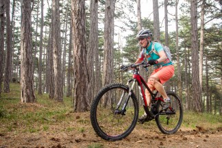 BH Lynx 4.8 29 9.3 Carbon