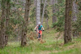 BH Lynx 4.8 29 9.3 Carbon