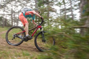 BH Lynx 4.8 29 9.3 Carbon