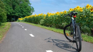 Bike-Touren: Optimale Planung