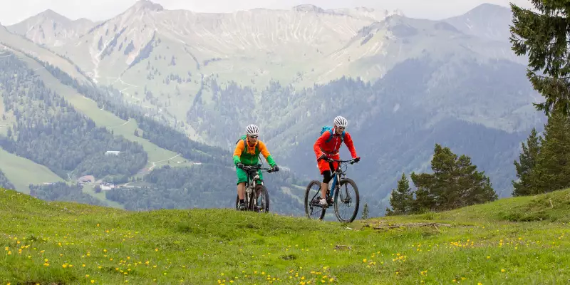 Wanted: Bikeboard Weekend Warrior