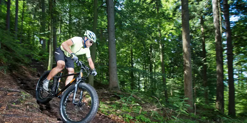 KTM Neuheiten 2015