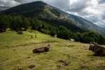 Transpyr 2014 - Race Report