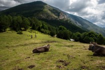Transpyr 2014 - Race Report