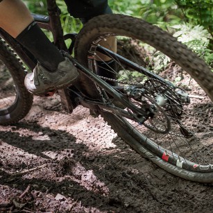 Schwalbe Procore 2015