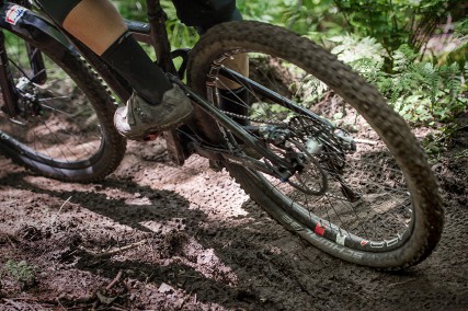 Schwalbe Procore 2015