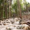 Panchowheels 650B