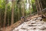Panchowheels 650B