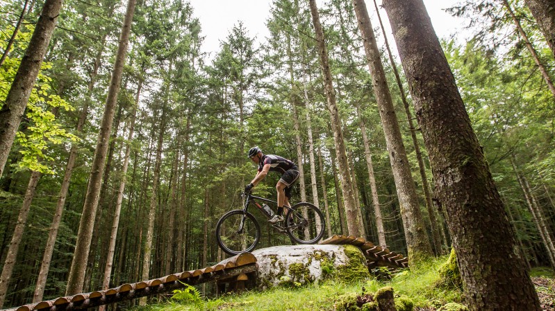 Panchowheels 650B