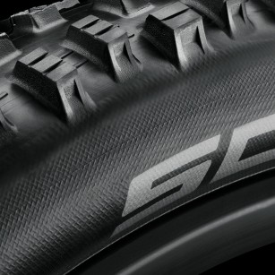 Schwalbe