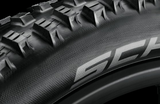 Schwalbe