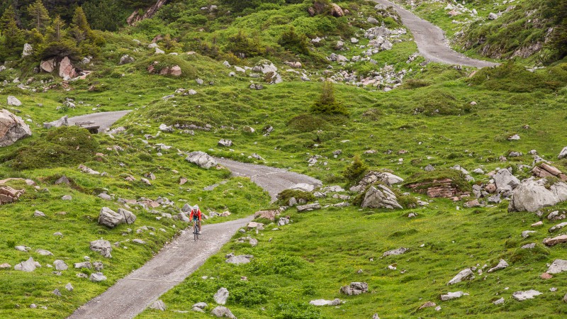 Trek Silque SLX