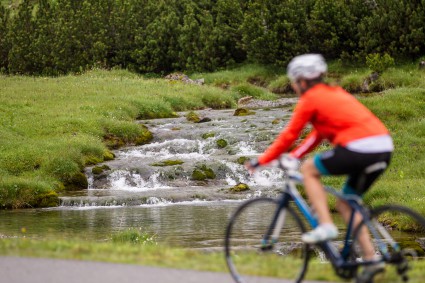 Trek Silque SLX