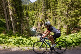 Trek Silque SLX