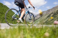Trek Silque SLX