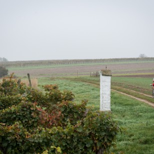 Bildbericht Weinberg Trophy