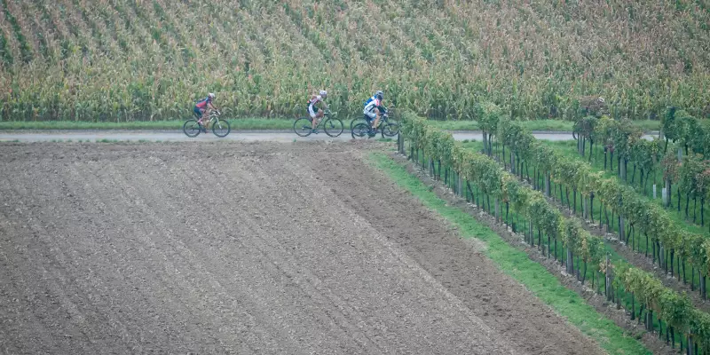 Bildbericht Weinberg Trophy