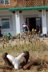Mongolia Bike Challenge