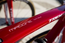 Trek Teambikes für alle