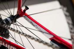 Trek Teambikes für alle