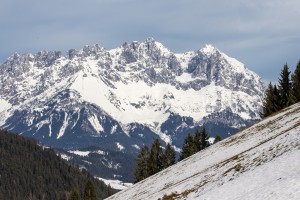 Detailansicht