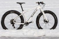 Salsa Beargrease Carbon 1
€ 3.399,-
