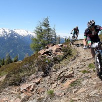 Bikeboard Weekend Warrior Bike4Peaks