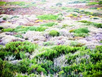 Radurlaub auf Sardinien