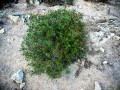 Radurlaub auf Sardinien