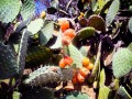Radurlaub auf Sardinien