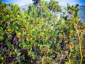 Radurlaub auf Sardinien