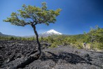 Trans Andes Challenge