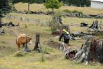 Trans Andes Challenge