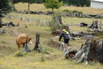 Trans Andes Challenge