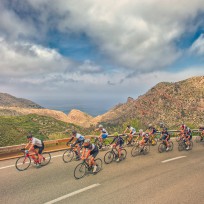 Mallorca 312