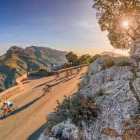 Mallorca 312