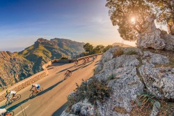 Mallorca 312