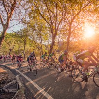 Mallorca 312