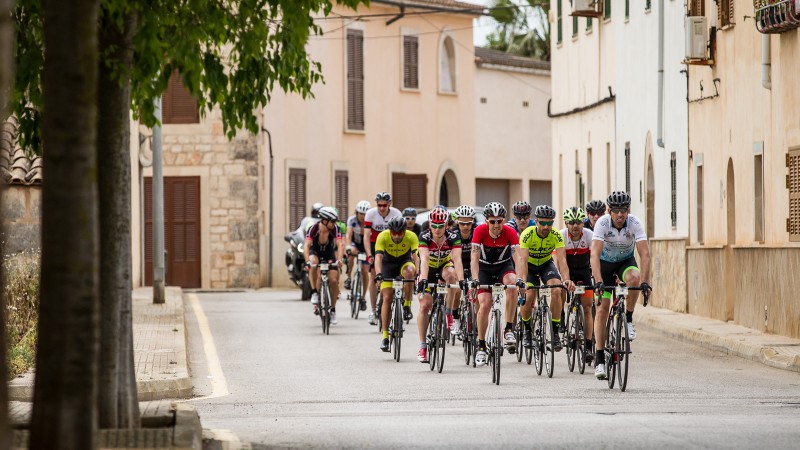 Mallorca 312