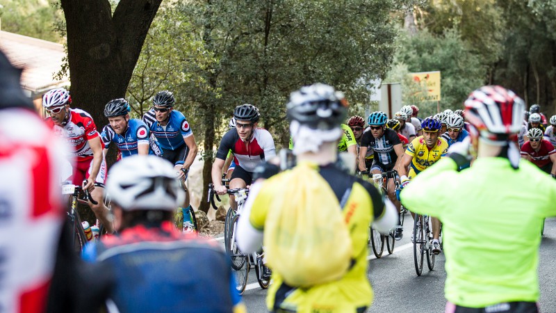 Mallorca 312