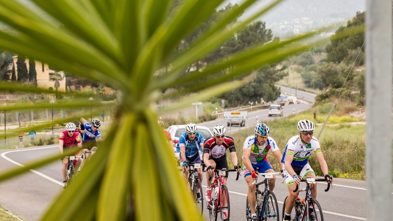 Mallorca 312